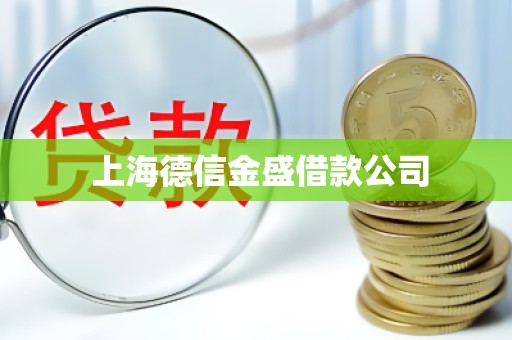  上海德信金盛借款公司