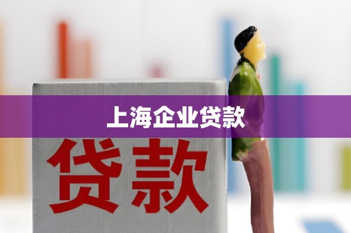 上海企业贷款 上海企业贷款
